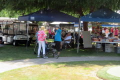 2022-06-18 Strawberry Festival