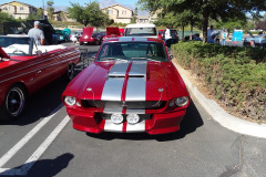 Mustang